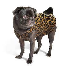 Gold Paw Fleece Leopard 4