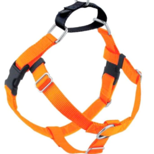 2 Hounds Design Freedom No Pull Harness Neon Orange Medium