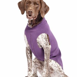 Gold Paw Fleece Eggplant 26