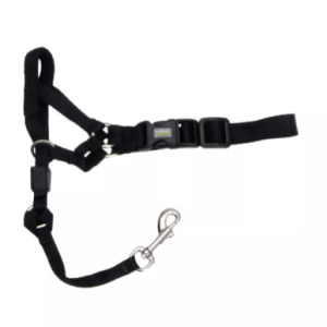 Coastal Walk N' Trin Head Halter Large