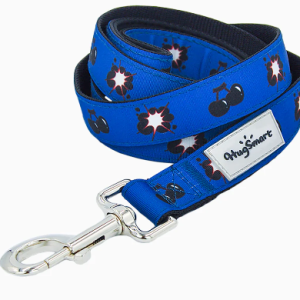 HugSmart Dog Leash Cherry Boom Small