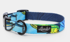 Leeds Loma Collar Large (18" 26")