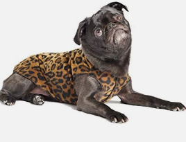 Gold Paw Fleece Leopard 8