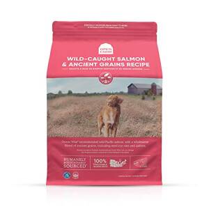 Open Farm Dog AG Wild Salmon 4#