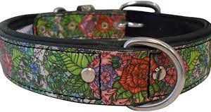 Angel Pet Leather Collar Eden 1"