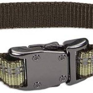 K9 Explorer 1" Adjustable Collar