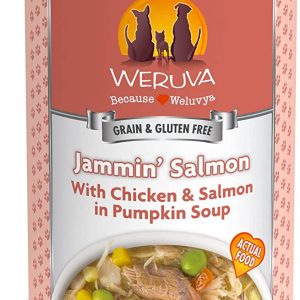 Weruva Dog Jammin' Salmon 14oz