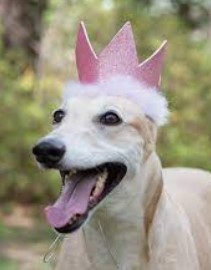 H&K Party Crown Pink Large