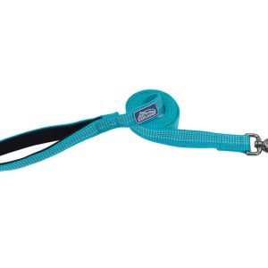 k9 Explorer Leash 6' Blue