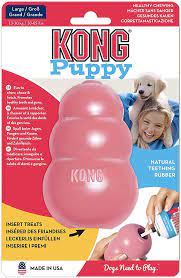 Kong Puppy Large