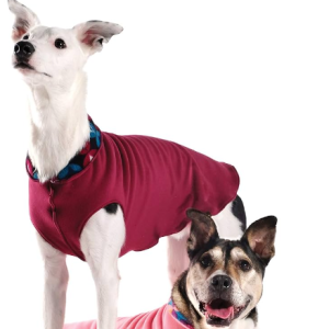 Gold Paw Fleece Garnet 26