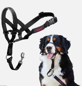 Halti Headcollar Size 4