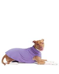 Gold Paw Fleece 26 Lavender