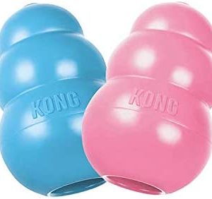 Puppy Kong Medium