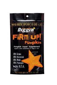 Diggin' Your Dog Firm Up! Pumpkin 1oz