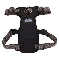 Coastal K9 Explorer Harness Black Medium