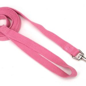 Coastal Soy Leash Fuchsia (1" x 6')