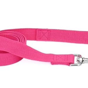 Coastal Soy Leash Fuchsia (5/8" x 6')