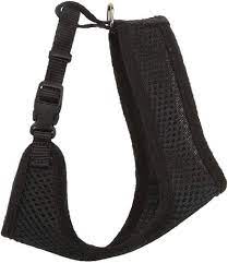 Coastal Cat Harness Black
