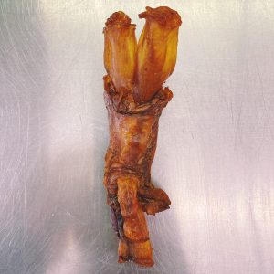 original 566 scaled 1.jpeg