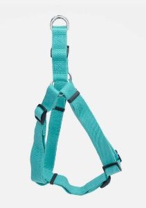 Coastal Soy Harness Mint Small