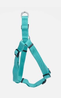 Coastal Soy Harness Mint Small Coastal Soy Harness Mint Small