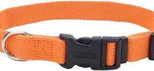 Coastal Soy Collar Pumpkin Extra Small