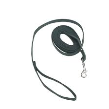 Coastal Train Right Cotton Web Leash Green 15'