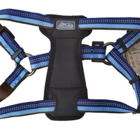 Coastal K9 Explorer Harness Sapphire Medium (20" 30")