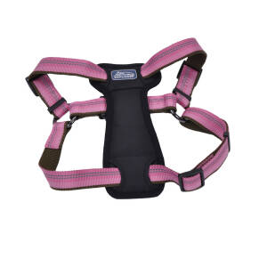 Coastal K9 Explorer Rosebud Harness Medium (20" 30")