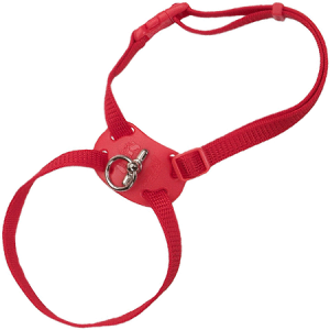 Coastal Size Right! Cat Harness Red (12" 18")
