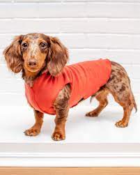 Gold Paw Fleece 2 Paprika