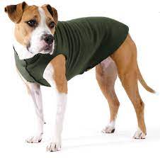 Gold Paw Fleece 4 Hunter Green