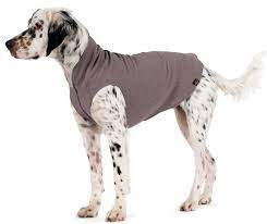 Gold Paw Fleece 28 Charcoal
