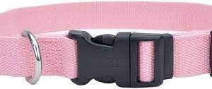 Coastal Soy Collar Rose Small / Medium (12" 18")