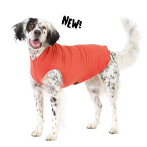 Gold Paw Fleece Paprika 26