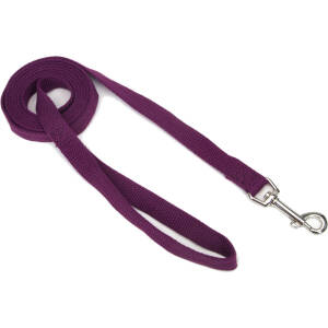 Coastal Soy Leash Eggplant ??