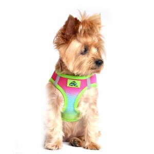 Doggie Design Choke Free Harness Ombre Rainbow XXLarge