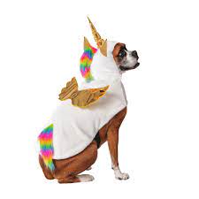 Halloween Costume Unicorn/Pumpkin