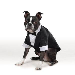 East Side Collection Dog Costume Groom Tux Medium