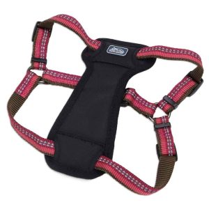 Coastal K9 Explorer Harness Berry Medium (20" 30")