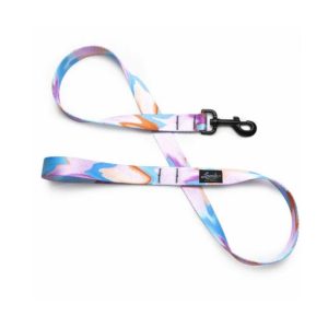Leeds Pool Party Leash 4'