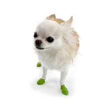 Pawz Tiny