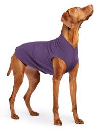 GoldPaw Stretch Fleece Huckleberry 12
