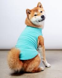 GoldPaw Stretch Fleece Turquoise 4