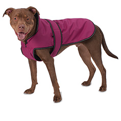 Petragous Juneau Coat Magenta Small