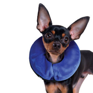 Kong Cloud E Collar Extra Small