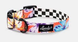 Leeds Aloha Deluxe Collar Small (8" 12")