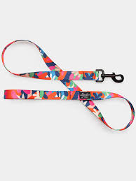 Leeds Jane Leash Large 6ft