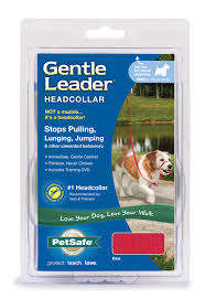 SMALL GENTLE LEADER HEADCOLLAR